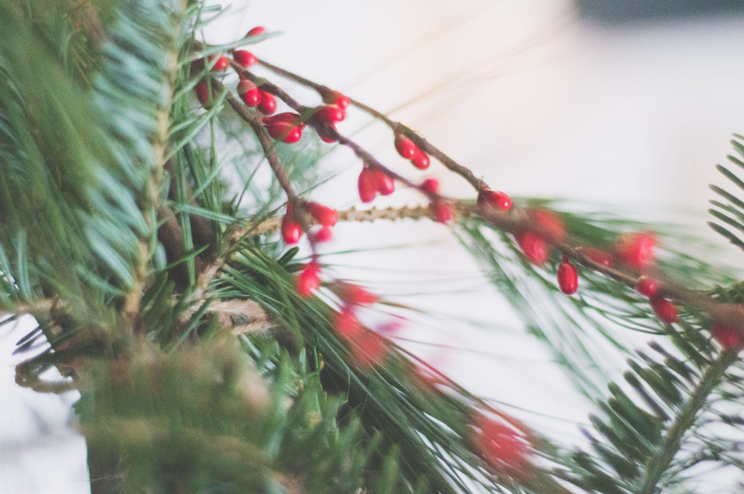 Green Artificial Trees Create Lasting Holiday Memories